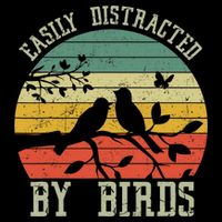 Vintage Easily Distracted By Birds Funny For Bird Watcher T-Shirt