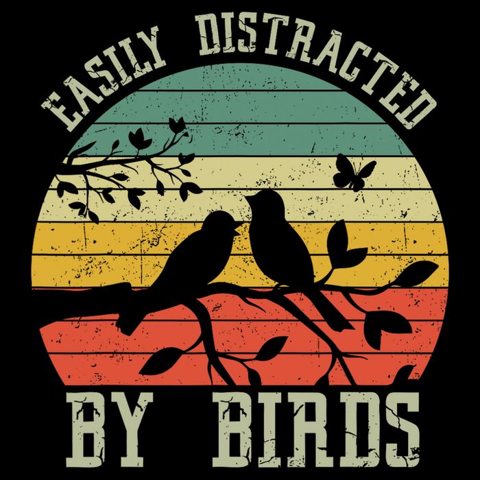 Vintage Easily Distracted By Birds Funny For Bird Watcher T-Shirt