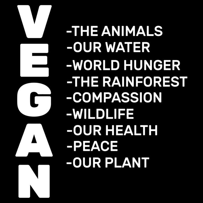 Vegan Because Of Life Sustainable Bucket Hat