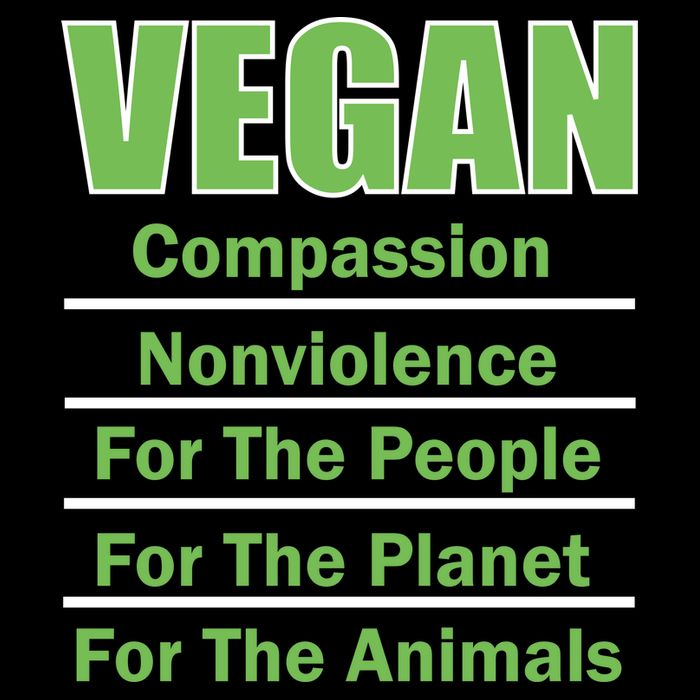Vegan Message Poster