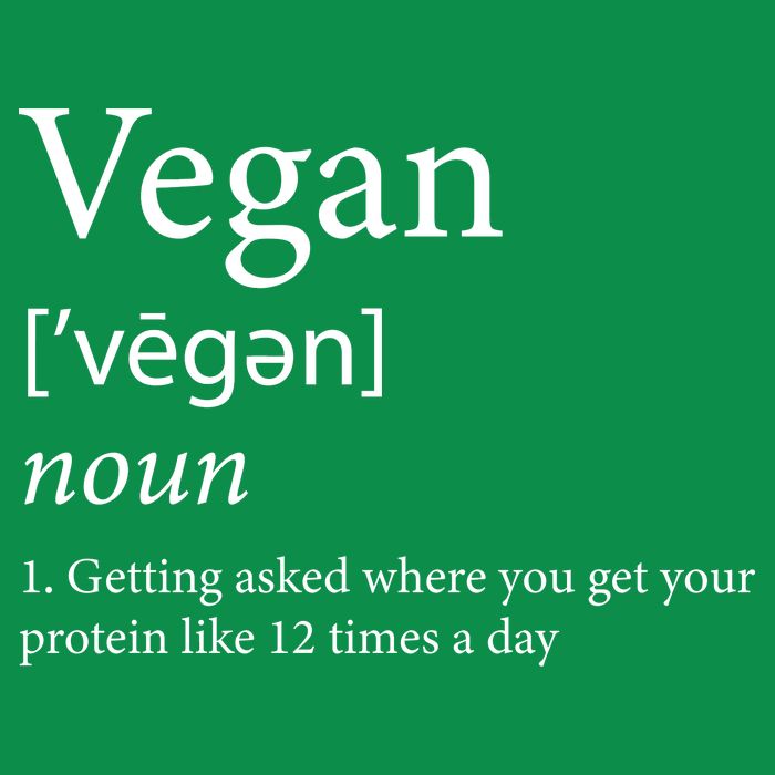 Vegan Protein Definition Womens T-Shirt