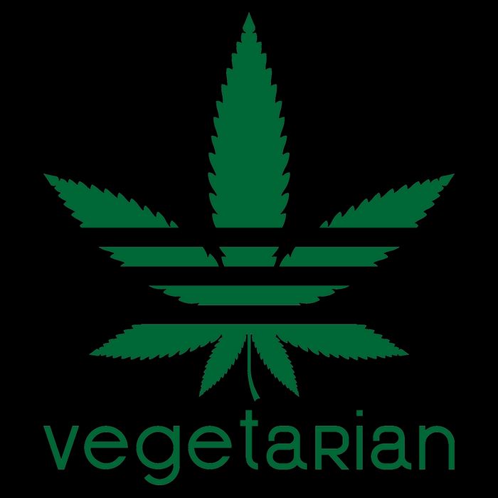 Vegetarian Funny Weed  Sustainable Knit Beanie