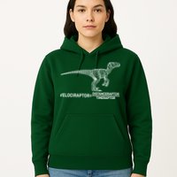 Velociraptor Equals Distanceraptor Timeraptor Hoodie