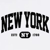 Vintage Established New York Ny Hat