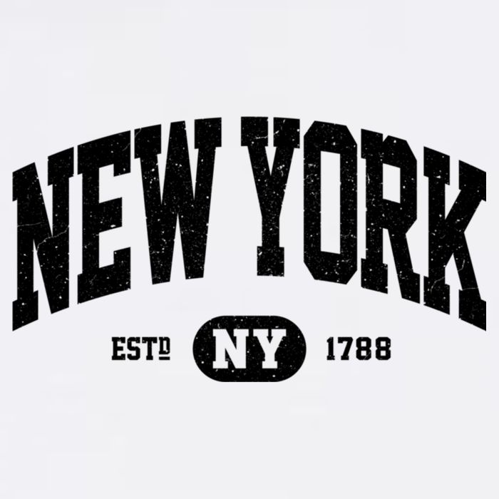 Vintage Established New York Ny Hat