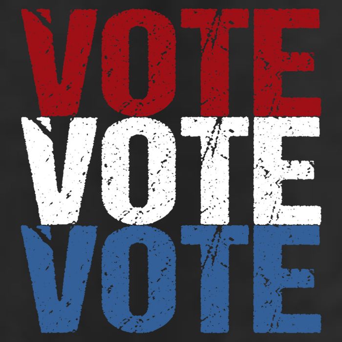 VOTE Election Patriotic Voter Registration Midterm Voting Tumbler