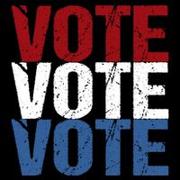 VOTE Election Patriotic Voter Registration Midterm Voting Toddler T-Shirt