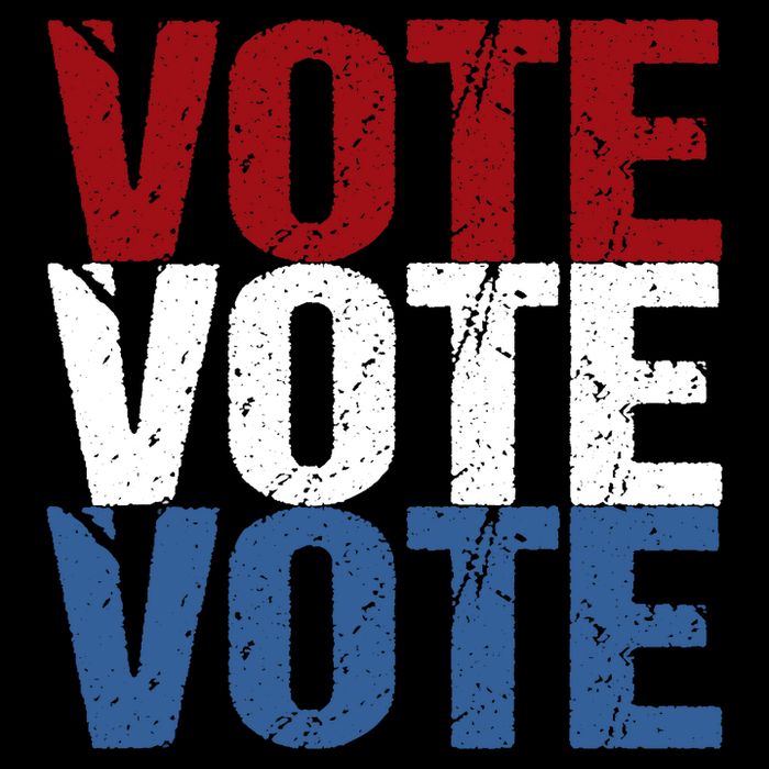 VOTE Election Patriotic Voter Registration Midterm Voting Toddler T-Shirt