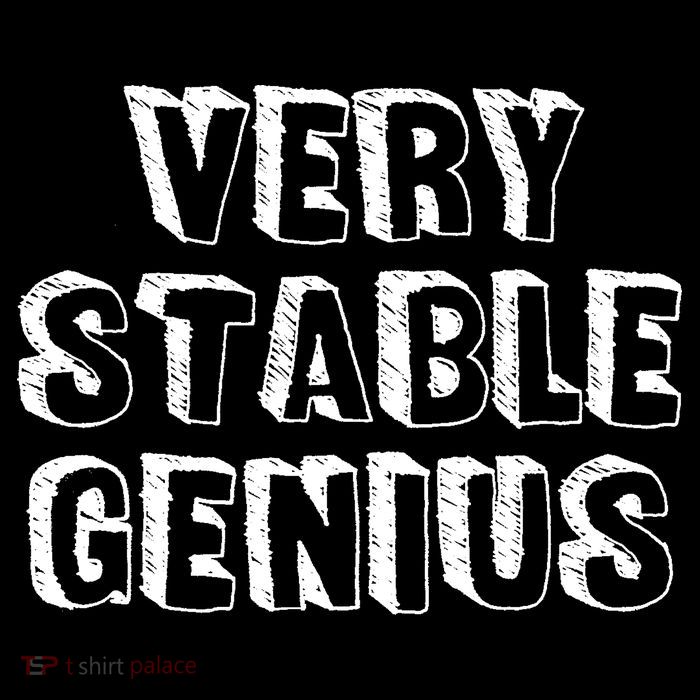 Very Stable Genius 7-Panel Snapback Hat