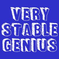 Very Stable Genius Visor