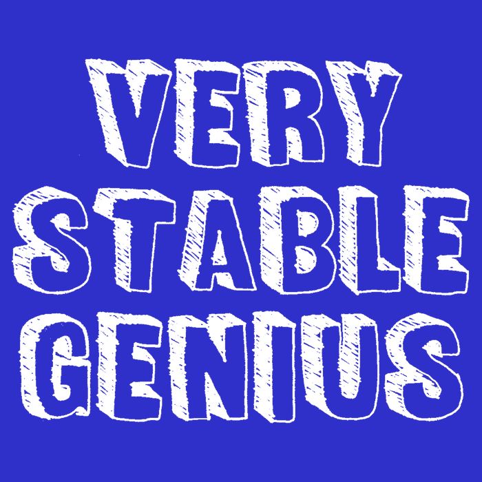 Very Stable Genius Visor