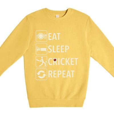 Vintage Eat Sleep Cricket Repeat Cricket Player Premium Crewneck Sweatshirt