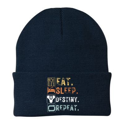 Vintage Eat Sleep Destiny Repeat Funny Eat Sleep Destiny Knit Cap Winter Beanie