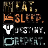 Vintage Eat Sleep Destiny Repeat Funny Eat Sleep Destiny Womens T-Shirt