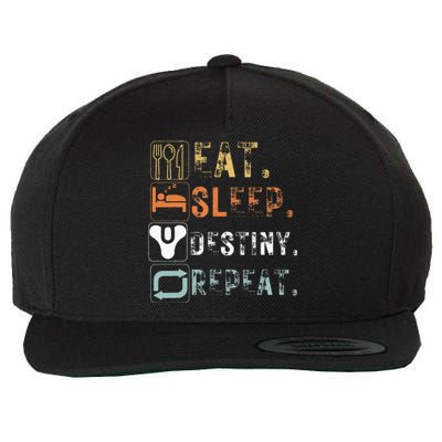 Vintage Eat Sleep Destiny Repeat Funny Eat Sleep Wool Snapback Cap