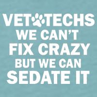Vet Techs We Can't Fix Crazy But Can Sedate It Sueded Cloud Jersey T-Shirt
