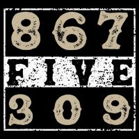 Vintage Eighties Tee 867 Five 309 Apparel and Funny 80's Bag