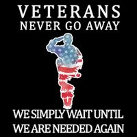 Veterans Never Go Away Mug