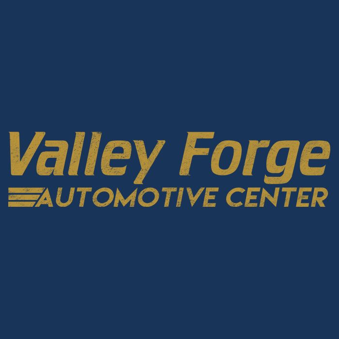 Valley Forge Automotive Center USA-Made Doggie Bandana