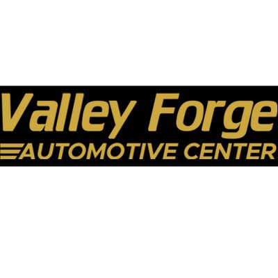 Valley Forge Automotive Funny Bumper Sticker