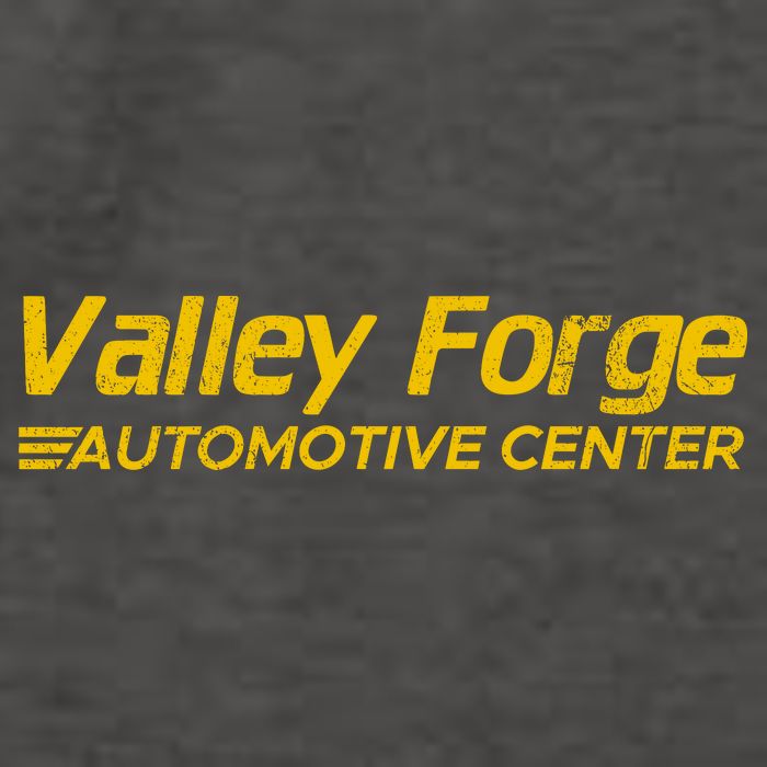 Valley Forge Automotive Distressed Look Vector Backpack