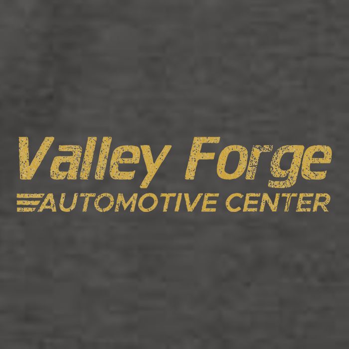 Valley Forge Automotive Distressed Look Vector Backpack