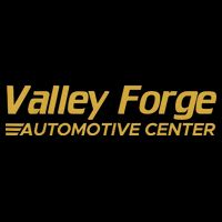 Valley Forge Automotive Funny Pom Pom 12in Knit Beanie