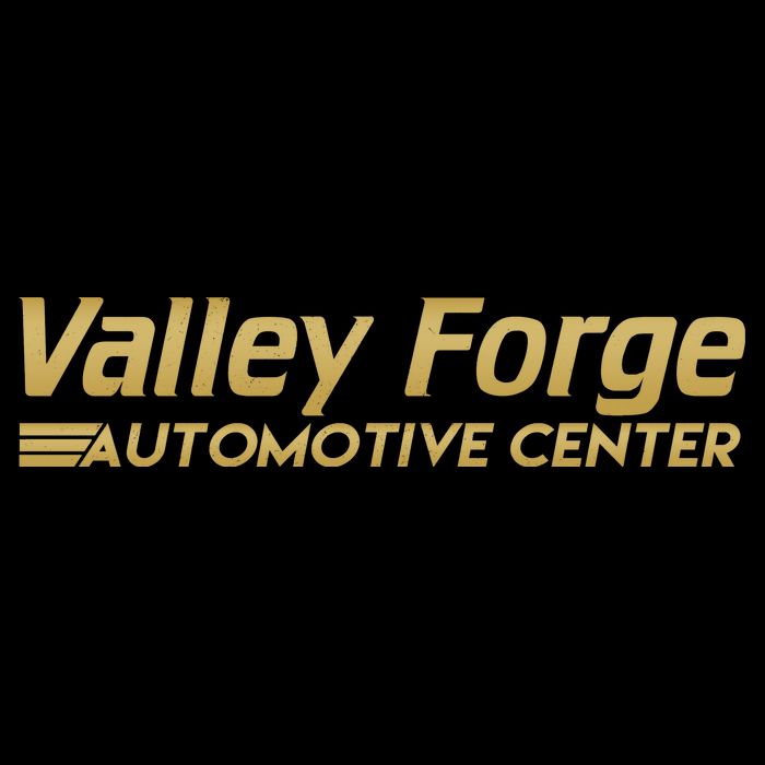 Valley Forge Automotive Center Funny Tires Wool Snapback Cap