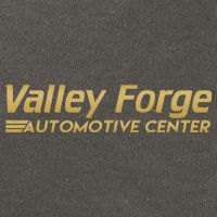Valley Forge Automotive Center Funny Tires Cotton Canvas Backpack