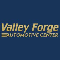 Valley Forge Automotive Center Funny Tires Sustainable Bucket Hat