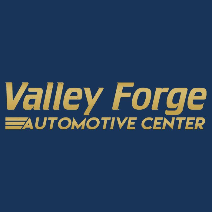 Valley Forge Automotive Center Funny Tires Sustainable Bucket Hat