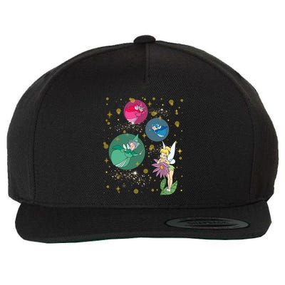 Vintage Fairies Characters Group Flora Fauna Merryweather Wool Snapback Cap
