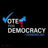 Vote For Democracy Button