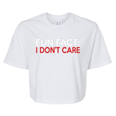 Vintage Fun Fact I DonT Care Bella+Canvas Jersey Crop Tee