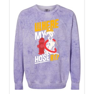 Volunteer Firefighter Firefighting Fire Where My Hose At Gift Colorblast Crewneck Sweatshirt