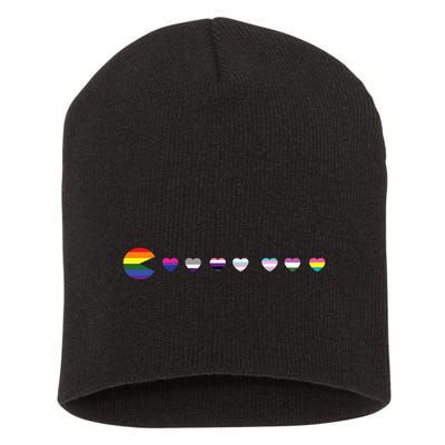 VideoGame Funny Gaming LGBTQ Ally Pride Flag Gamer Short Acrylic Beanie