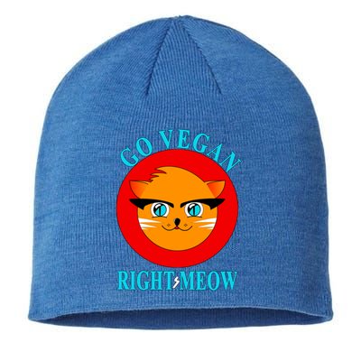 Vegan Funny Gift Cat Lover Go Vegan Right Meow Gift Sustainable Beanie