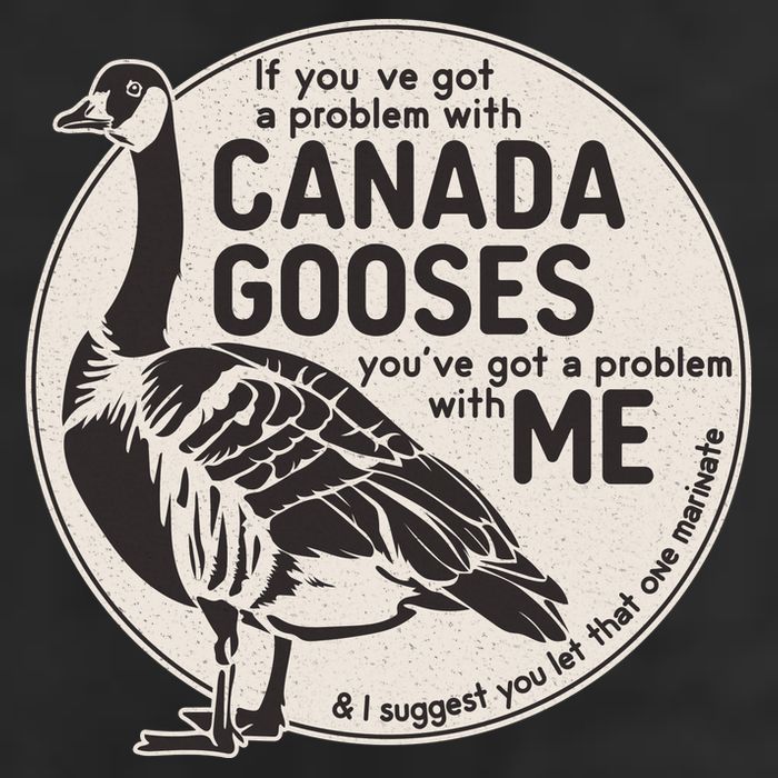 Vintage Funny If You Got A Problem With Canada Gooses Trucker Hat