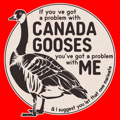 Vintage Funny If You Got A Problem With Canada Gooses T-Shirt