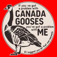 Vintage Funny If You Got A Problem With Canada Gooses Poster
