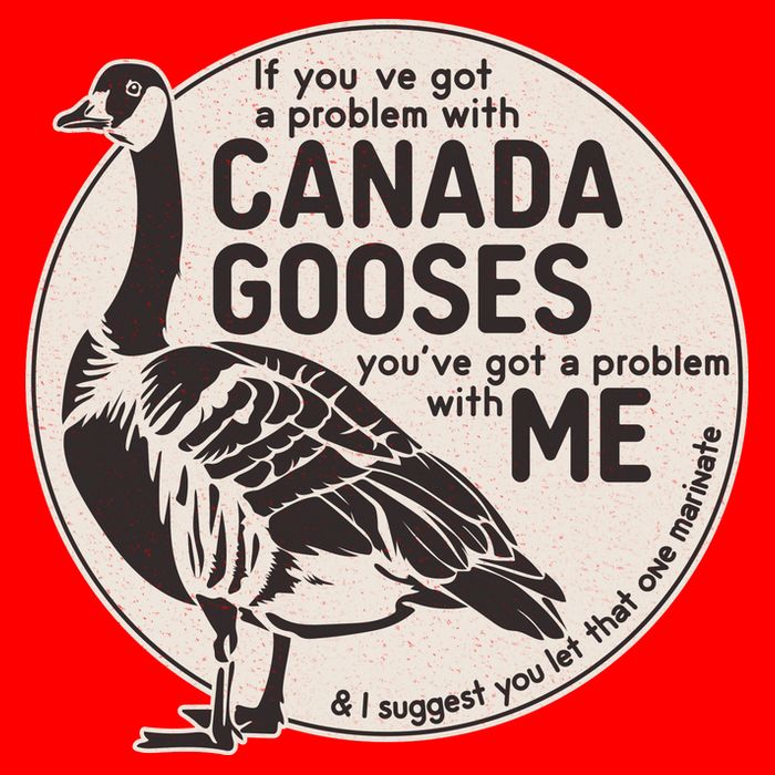 Vintage Funny If You Got A Problem With Canada Gooses Poster