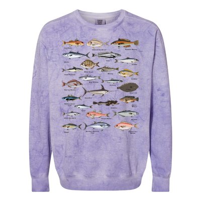 Vintage Fish Identification Chart Fishing Colorblast Crewneck Sweatshirt