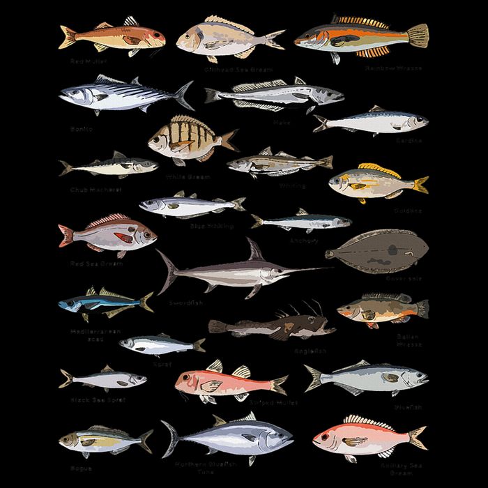 Vintage Fish Identification Chart Fishing Backpack