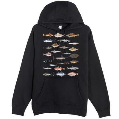 Vintage Fish Identification Chart Fishing Premium Pullover Hoodie