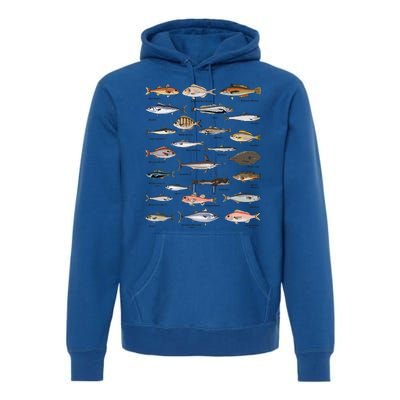 Vintage Fish Identification Chart Fishing Premium Hoodie