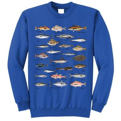 Vintage Fish Identification Chart Fishing Tall Sweatshirt