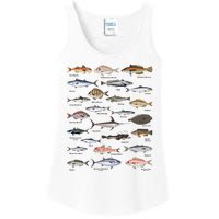 Vintage Fish Identification Chart Fishing Ladies Essential Tank