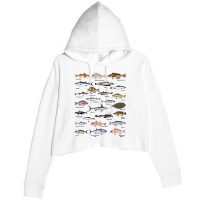 Vintage Fish Identification Chart Fishing Crop Fleece Hoodie