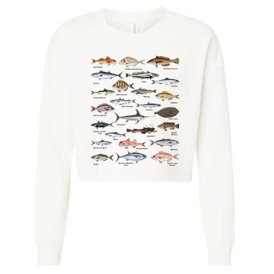 Vintage Fish Identification Chart Fishing Cropped Pullover Crew