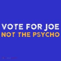 Vote For Joe Not The Psycho 2024 Poster